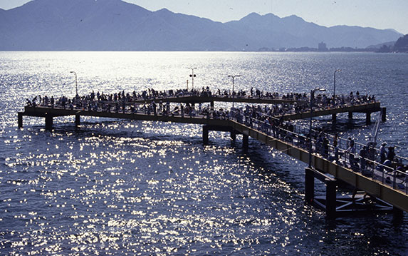海洋釣り場