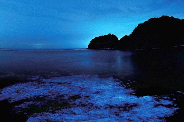 天橋立 京都 丹後 橋立ベイホテル 幻想的な夜の海を見に行きませんか